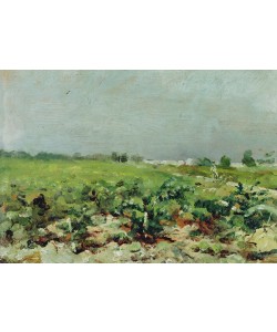 Henri de Toulouse-Lautrec, Celeyran, View of the Vineyard, 1880 (oil on canvas)