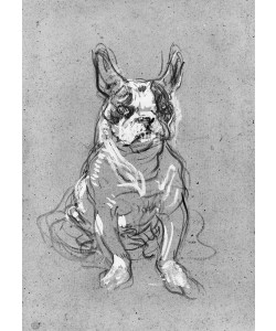 Henri de Toulouse-Lautrec, 'Bouboule', the bulldog of Madame Palmyre at La Souris, 1897 (oil on cardboard) (b/w photo)