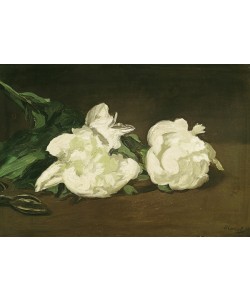 Edouard Manet, Branch of White Peonies and Secateurs, 1864 (oil on canvas)