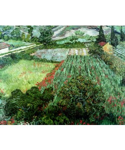 Vincent van Gogh, Field with Poppies, 1889 (oil on canvas)