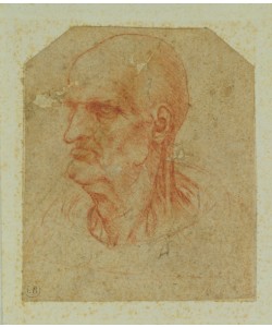 Leonardo da Vinci, Head of a beardless old man, left profile (red chalk on paper)