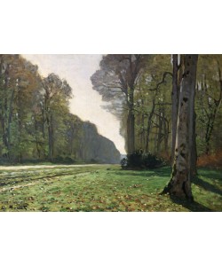 Claude Monet, The Road to Bas-Breau, Fontainebleau (Le Pave de Chailly), c.1865 (oil on canvas)