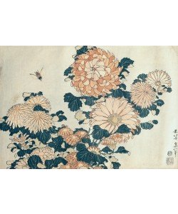 Katsushika Hokusai, Chrysanthemums (colour woodblock print)