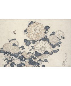 Katsushika Hokusai, Bee and chrysanthemums, from the series 'Big Flowers' (colour woodblock print)