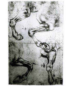Leonardo da Vinci, Studies of Horses legs (pen and ink on paper)