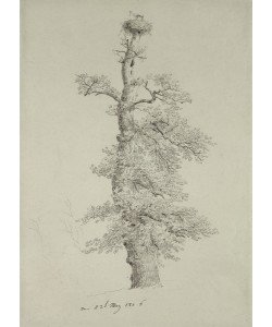 Caspar David Friedrich, Ancient Oak Tree with a Stork's Nest, 23rd May 1806 (pencil on paper)