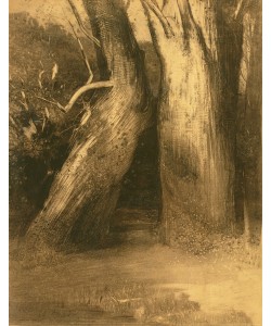 Odilon Redon, Two Trees, c.1875 (charcoal on paper)