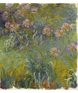 Claude Monet, Agapanthus, 1914-26 (oil on canvas)