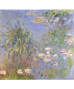 Claude Monet, Water-Lilies, Cluster of Grass, 1914-17 (oil on canvas)