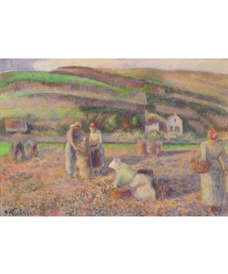 Camille Pissarro, The Potato Harvest, 1886 (oil on canvas)