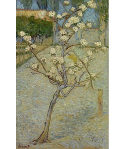 Vincent van Gogh, Small pear tree in blossom, 1888 (oil on canvas)