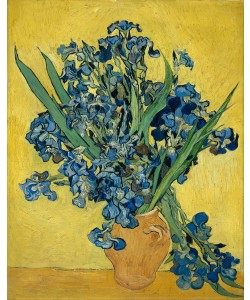 Vincent van Gogh, Irises, 1890 (oil on canvas)