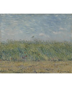 Vincent van Gogh, Wheatfield with Partridge, 1887 (oil on canvas)