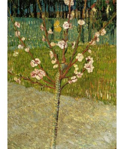 Vincent van Gogh, Almond Tree in Blossom, 1888 (oil on canvas)
