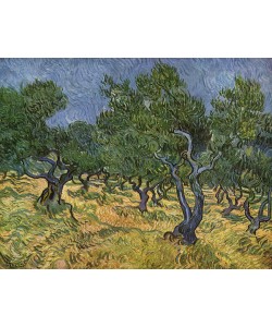Vincent van Gogh, Olive Orchard mid-June, 1889 (oil on canvas)