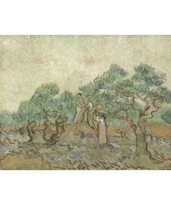 Vincent van Gogh, The Olive Orchard, 1889 (oil on canvas)
