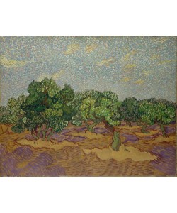 Vincent van Gogh, Olive Trees, 1889 (oil on canvas)