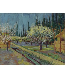 Vincent van Gogh, Orchard Bordered by Cypresses, 1888 (oil on canvas)