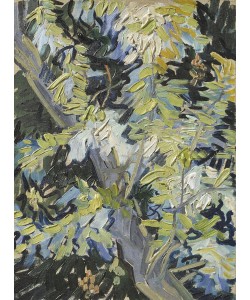 Vincent van Gogh, Acacia in Flower, c.1889 (oil on canvas)