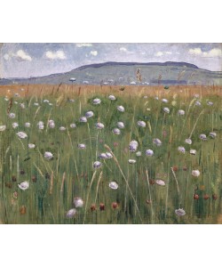 Ferdinand Hodler, Meadow Piece, c.1901 (oil on canvas)