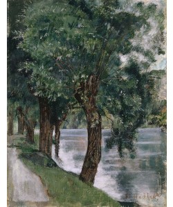 Ferdinand Hodler, Willow Trees at the Rhone, c.1885 (oil on canvas)
