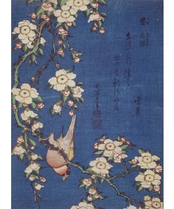 Katsushika Hokusai, Bullfinch and weeping cherry-tree, pub. c.1834 (colour woodblock print)