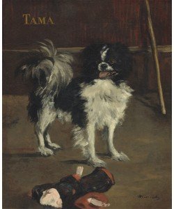 Edouard Manet, Tama, the Japanese Dog, c.1875 (oil on canvas)