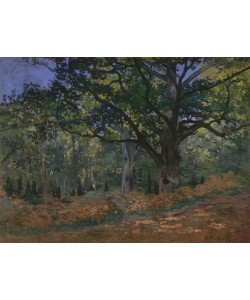 Claude Monet, The Bodmer Oak, Fontainebleau Forest, 1865 (oil on canvas)
