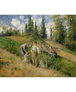 Camille Pissarro, The Harvest, Pontoise, 1881 (oil on canvas)