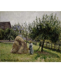 Camille Pissarro, Apple Trees in Eragny, Sunny Morning, 1903 (oil on canvas)