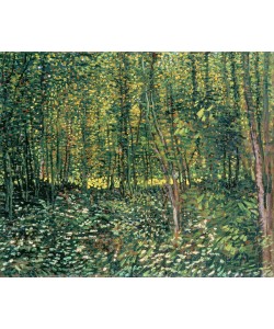 Vincent van Gogh, Trees and Undergrowth, 1887 (oil on canvas)