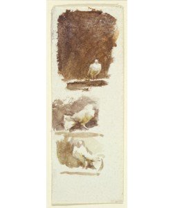 HELEN ALLINGHAM, Doves (w/c on paper)