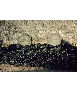 , Graves of Vincent and Theo van Gogh, Auvers-sur-Oise (photo)