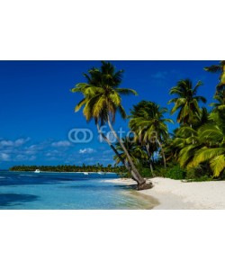 A.Jedynak, Caribbean beach with palms