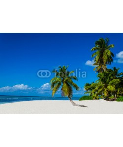 A.Jedynak, Tropical sandy beach with palm trees, Dominican Republic