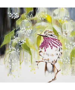 Stephanie Aguilar, Jeweled