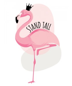 Ayse, Flamingo