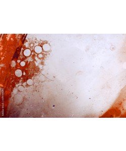 Old weathered photographic plate, grungy background or texture, Azahara MarcosDeLeon 