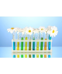 Africa Studio, flowers in test tubes on blue background