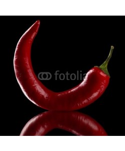 Africa Studio, Red hot chili pepper isolated on   black