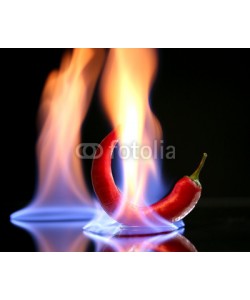Africa Studio, Red hot chili pepper on fire, isolated on   black
