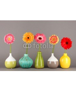 Africa Studio, Beautiful Gerber flowers on grey background