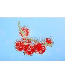 Africa Studio, Beautiful ripe red currant in water with bubbles, isolated