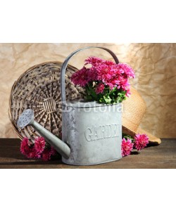 Africa Studio, Bouquet of pink chrysanthemum in watering can on wooden table