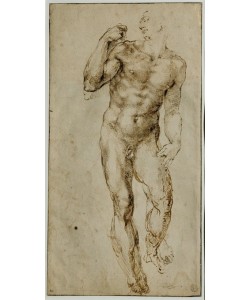 MICHELANGELO BUONARROTI, Male nude