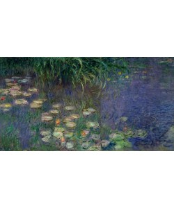 Claude Monet, Le Bassin aux nymphéas sans saules, Matin