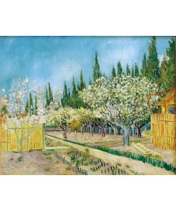 Vincent van Gogh, Blühender Obstgarten, von Zypressen umgeben