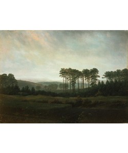 Caspar David Friedrich, Der Nachmittag