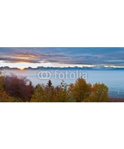 akulamatiau, Swiss Forest Autumn  View