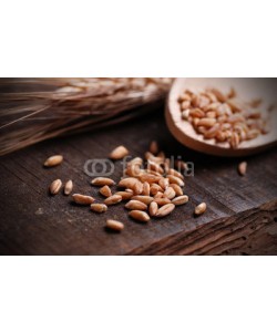al62, chicchi di grano sulla tavola di legno